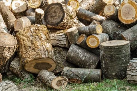 Stack of Freshly Cut Firewood Logs Outdoors Stock Photos