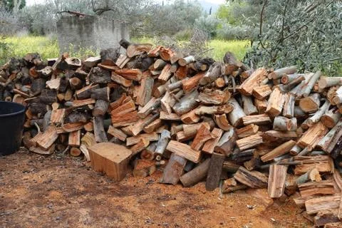 Stack of freshly cut wood logs Stock Photos