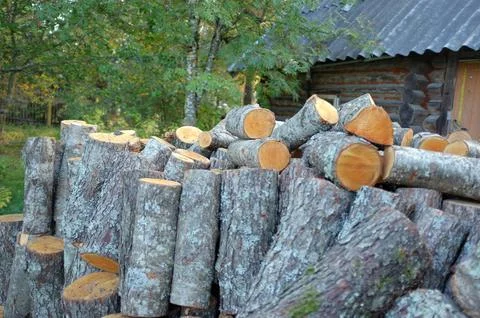 Stack of Freshly Cut Wooden Logs in Front of a Rustic Log Cabin Stock Photos