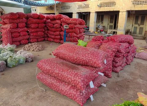 Stack of freshly harvested potatoes in red net sacks 스톡 사진