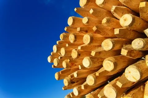 A stack of freshly made wooden posts against a blue sky. Stock Photos
