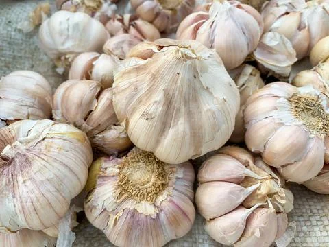 Stack Garlic , shallow depth of field, selective focus, macro Stock Photos