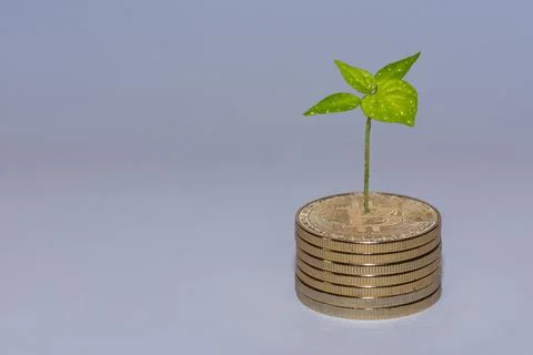 Stack of golden bitcoins from crypto currency with a green plant increase mon Stock Photos