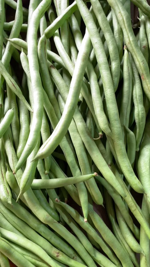 Stack of green beans in the market Stock Footage 281301837