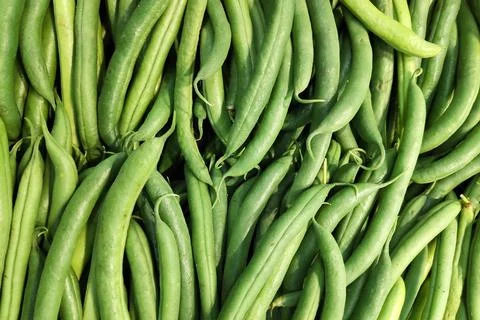 Stack of green beans on a market stall 스톡 사진