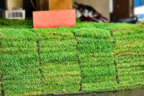 A stack of green grass is piled up on top of a red sign Foto stock