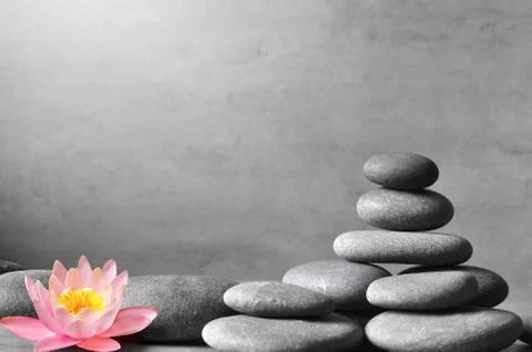 Stack of grey massage stones on grey background and lotus flower. Stock Photos