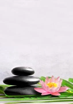 Stack of grey massage stones on grey background and lotus flower. Stock Photos