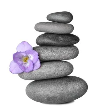 Stack of grey spa stones and fresh flower isolated on white Stockfoto's