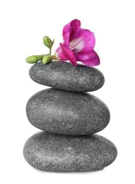 Stack of grey spa stones and fresh flower isolated on white 스톡 사진
