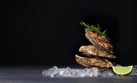 Stack of grilled meat with herbs and lime on ice Fotos de archivo