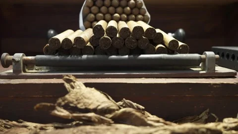 Stack hand rolled premium cuban cigars and dried tobacco leaves on foreground Stock Footage 233725052