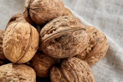 A stack of hard shells of walnuts piled together on light grey fabric cotton Stock Photos
