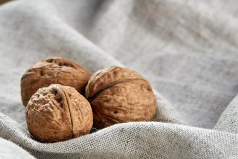 A stack of hard shells of walnuts piled together on light grey fabric cotton Stock Photos