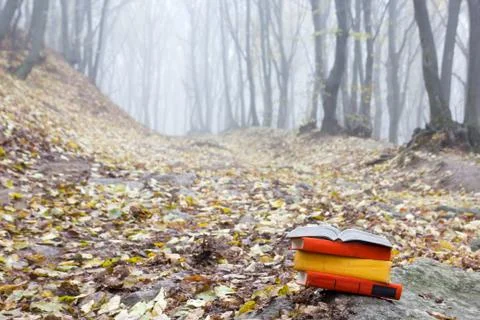 Stack of hardback book lying on a bench at sunset park  blurred nature backdrop Stock Photos