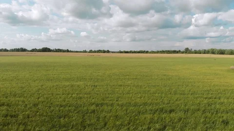 A stack of hay aerial footage Vidéo 112875218