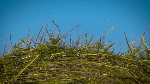 A stack of hay and a tractor in a field Stock Footage 96051093