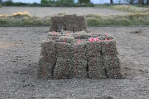 A stack of hay bales with red tape tied around them in the shape of boxes, .. Stock Photos