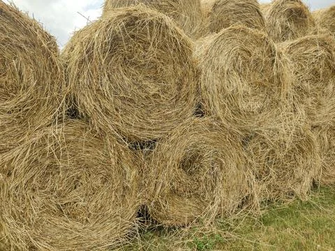 Stack of hay bales in Romania Stock Photos