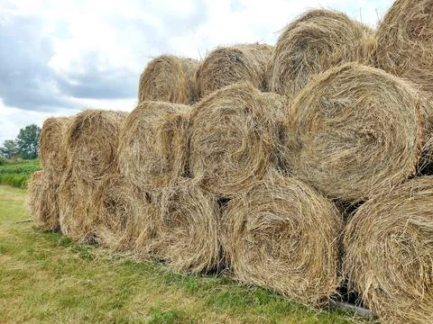 Stack of hay bales in Romania Stock Photos