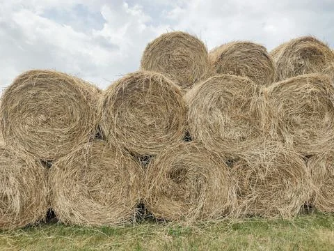 Stack of hay bales in Romania 스톡 사진