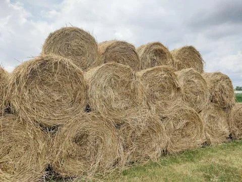 Stack of hay bales in Romania 库存照片