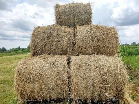 Stack of hay bales in Romania Stock Photos