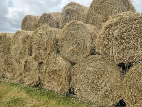 Stack of hay bales in Romania Fotos Stock