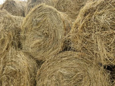 Stack of hay bales in Romania Фото