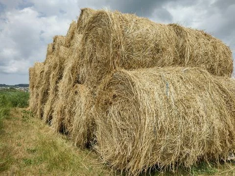 Stack of hay bales in Romania Fotos de archivo