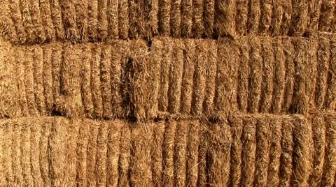 Stack of hay bales in a Shropshire field, England Stock-Footage 12234495