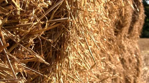 Stack of hay bales in a Shropshire field, England Stock-Footage 12234735