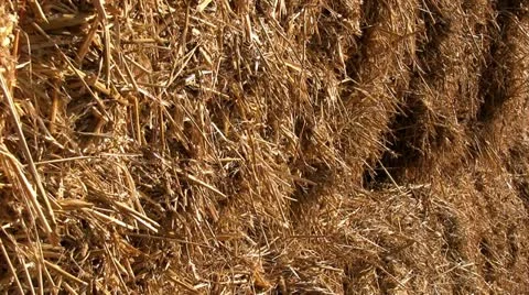 Stack of hay bales in a Shropshire field, England Stock-Footage 12234846