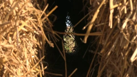 Stack of hay bales in a Shropshire field, England Stock-Footage 12235007