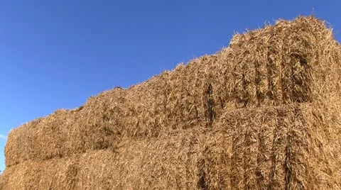 Stack of hay bales in a Shropshire field, England Stock Footage 12235934