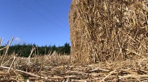 Stack of hay bales in a Shropshire field, England Stock-Footage 12235995