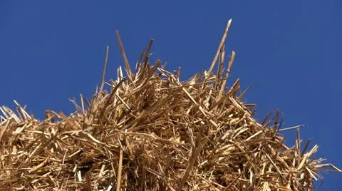 Stack of hay bales in a Shropshire field, England Stock-Footage 12236080