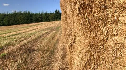 Stack of hay bales in a Shropshire field, England Stock-Footage 12236083