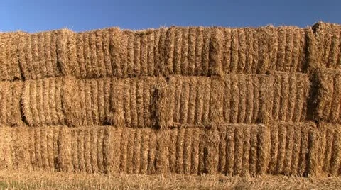 Stack of hay bales in a Shropshire field, England Stock-Footage 12236591