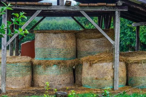 A stack of hay bales is stored under an old wooden barn. 스톡 사진