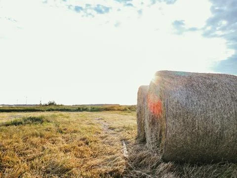 A stack of hay. Bright ripe grain field. Yellow wheat against the blue sky Stock Photos