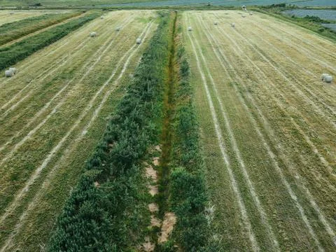 A stack of hay in the farm field. Ripe grain field top view or drone shot Stock Photos