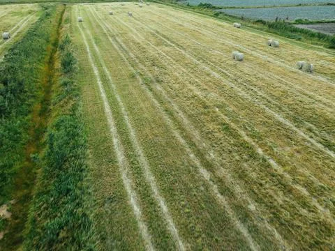 A stack of hay in the farm field. Ripe grain field top view or drone shot Foto stock