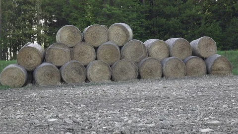 Stack of hay in a field. Agriculture scene. Video stock 91977116