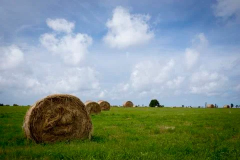 A stack of hay with green grass 写真素材