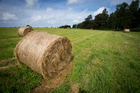 A stack of hay with green grass Stock Photos