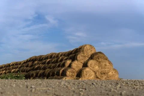 A stack of hay. harvest Stock Photos