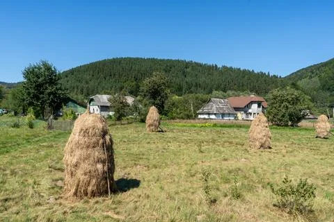 A stack of hay on a mountain meadow in a Carpathian Ukrainian village. Foto stock