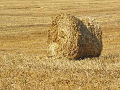 Stack of hay. Stock Photos