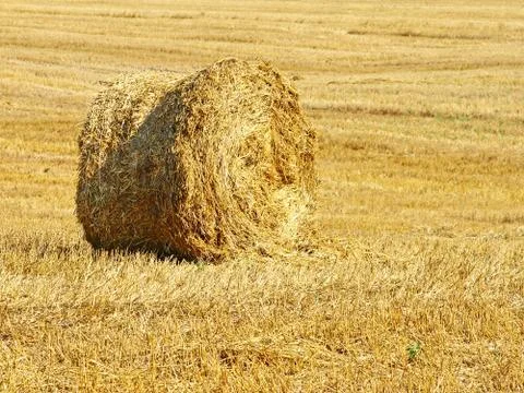 Stack of hay. Stock Photos